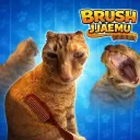 Brush Jjaemu game thumbnail