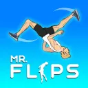 Mr Flip game thumbnail