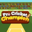 Pro Cricket Champion game thumbnail